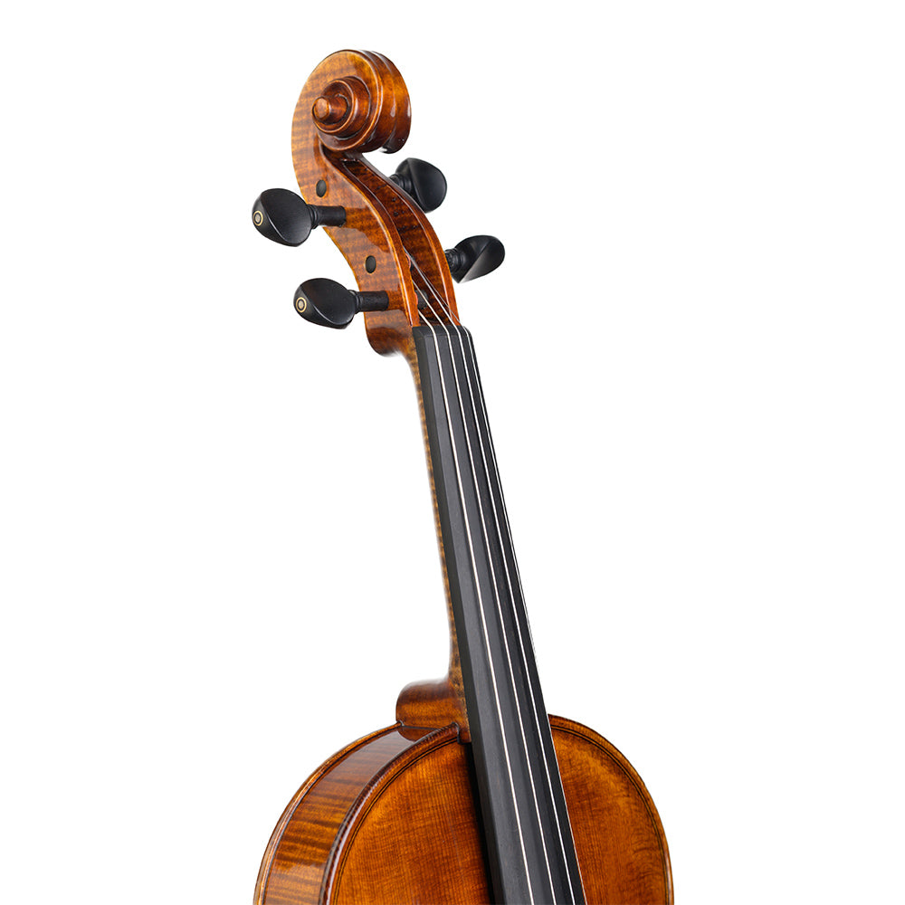 Violina Schonbach 4/4 Golden-brown