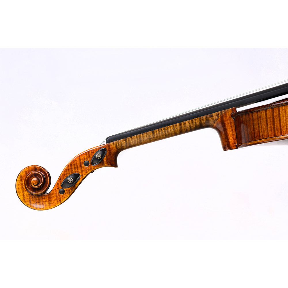 Violina Schonbach 4/4 Golden-brown