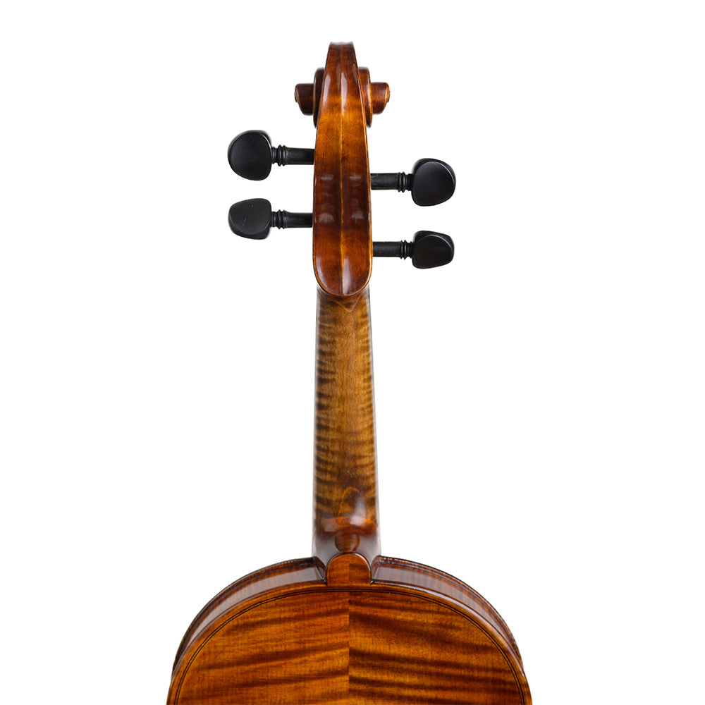 Violina Schonbach 4/4 Golden-brown