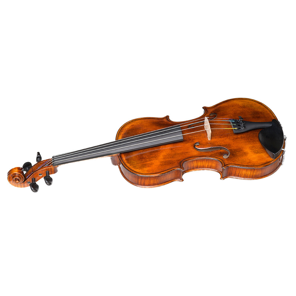 Violina Schonbach 4/4 Inferno