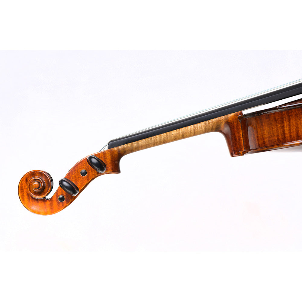 Violina Schonbach 4/4 Inferno