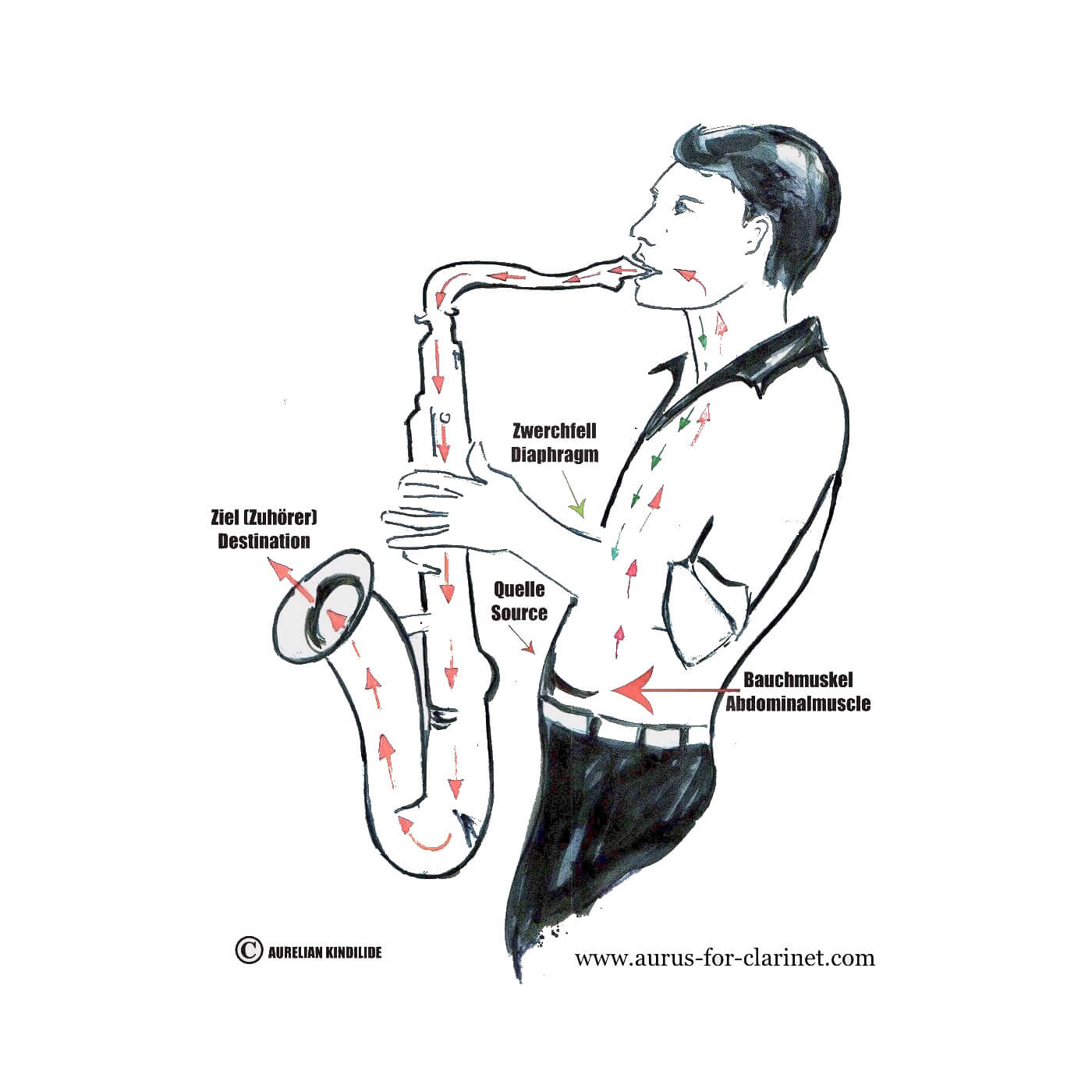 Trener dijafragme Aurus 7 za saksofon i klarinet