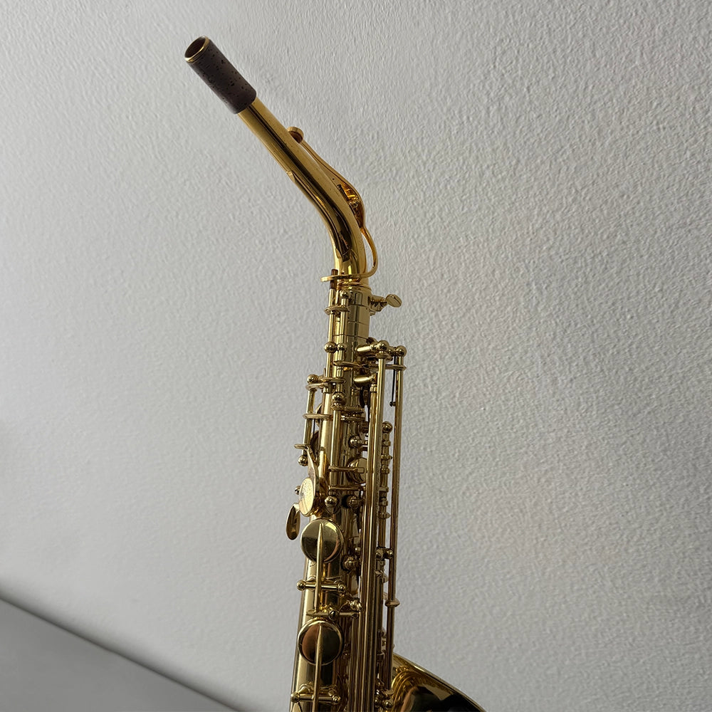 Rabljeni alt Saksofon SELMER SERIE III